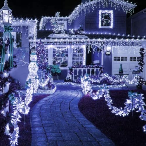TW SHINE Christmas Lights, 200 LED 66FT Outdoor Christmas Lights Plug in with 8 Modes, Waterproof Light Outdoor, Indoor Xmas Decorations for Party Yard House Decor, White