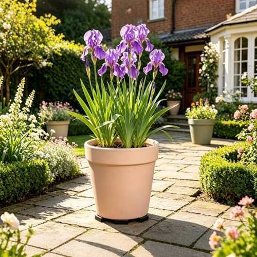 6 Pack Large 2" Wide x 0.6" Solid Square Rubber Pot Risers