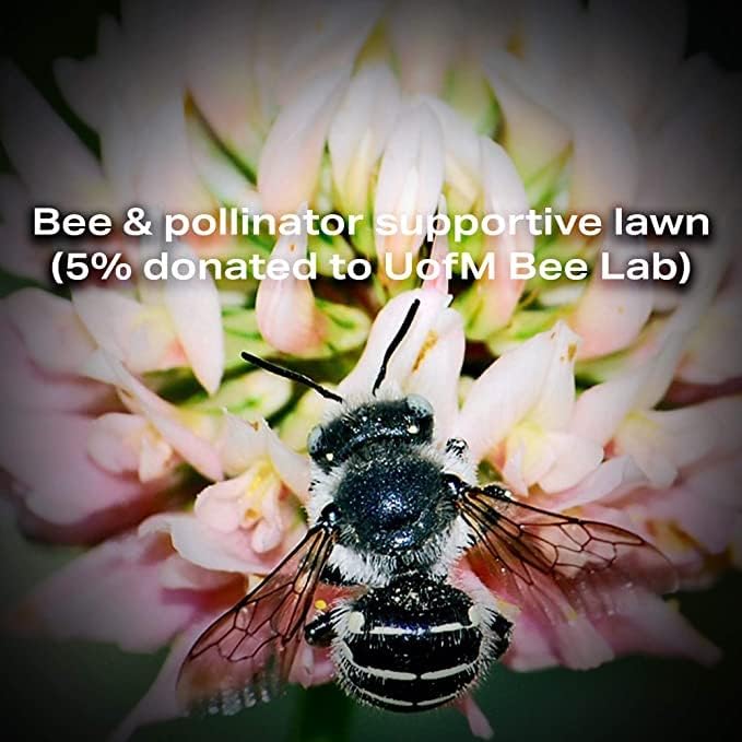 Native Bee Lawn - Native Wildflowers Mix, 25 lb