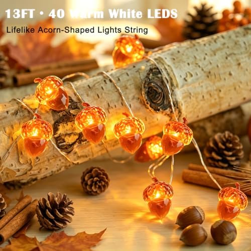 Thanksgiving Decoration 13ft 40 LED Acorn Fall Fairy Lights Battery Powered