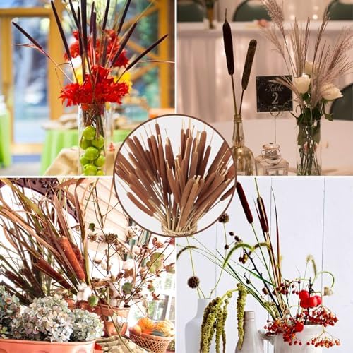 45pcs Large Natural Brown Cattails Bundles, 17'' Real Dried Flowers