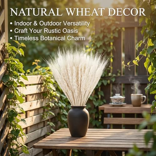 Sukh 50 Stems Dried Wheat Stalks - White Wheat Straw for Vases 13.3 in