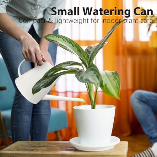 60 oz Watering Can, Watering Can Indoor Plants, Long Spout Small Water can