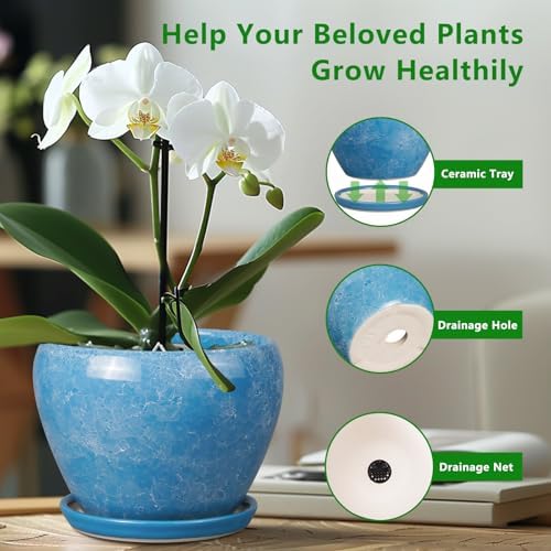 Ceramicfor 10 Inch Planter Pot, Ceramic Pots for Plants with Drainage, Blue