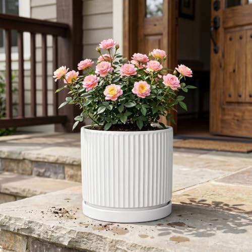 10 Inch Plant Pot, Ceramic Planters, Round Flower Pots, White