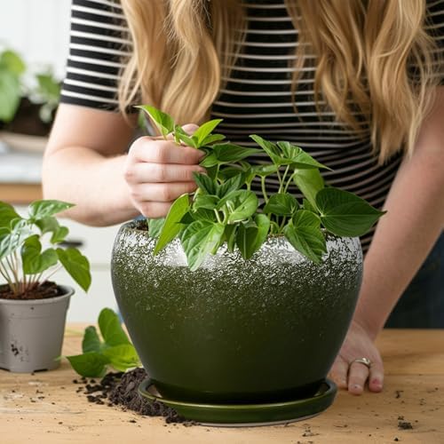 Ceramicfor 8 Inch Plant Pot - Ceramic Planter with Drainage, Dark Green