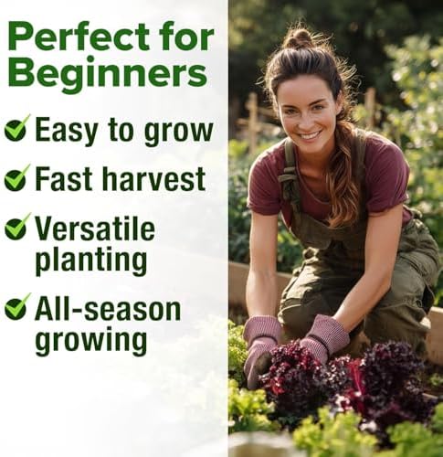 HOME GROWN Lettuce Seeds 8 Variety Mix 9000+ Bulk Pack Heirloom Non-GMO, High Germination, Romaine, Bibb, Buttercrunch, Leafy Greens,Indoor Outdoor Hydroponic Garden, Cut & Come Again (Lactuca sativa)