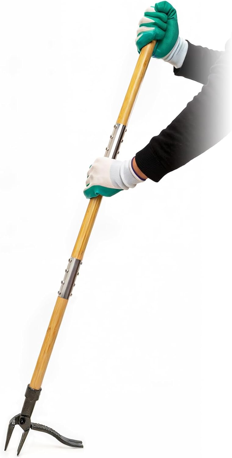 Weed Puller Tool, 44" Stand Up Heavy Duty Root Removal Garden Tools with 4 Claw Steel Head, Made with Real Bamboo &