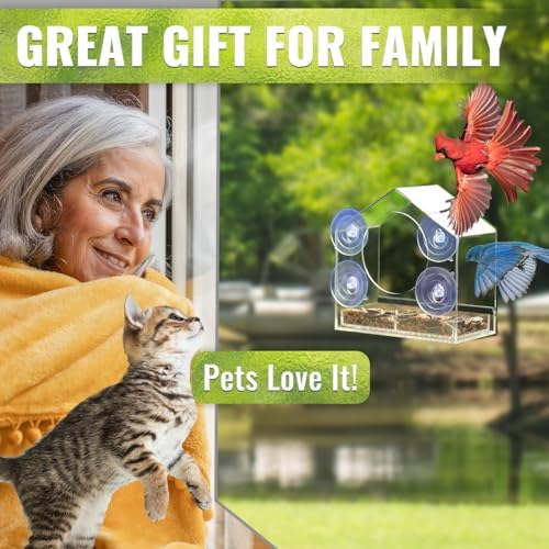 Clear Window Bird Feeder with Strong Suction Cups
