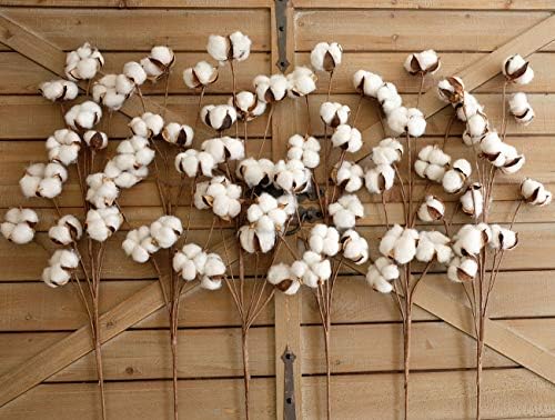 idyllic Cotton Stems Decor Branches, Cotton Flowers Plants for Decorations, Dried Flowers for Vase, 6 Pcs-31 Inches Tall - 12 Bolls per Stem