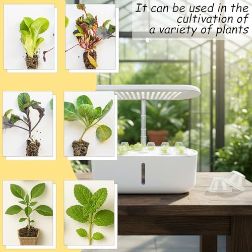 50 Pack Grow Domes Hydroponic, Transparent Hydroponic Dome Covers for Plants, 1.57in Inner Humidity Plant Domes Caps Plant Covers for Growing System