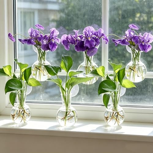 8 Pack Window Propagation Stations, Plastic Plant Terrarium Vases