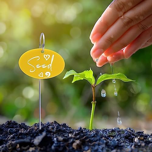 Temlum Acrylic Plant Labels for Indoor & Outdoor Plants, Multicolor 25pcs