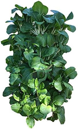 Mr. Stacky© 5-Tier 13 inch Wide - (Stone Color) Strawberry and Herb Garden Planter - Stackable Gardening Pots with 10