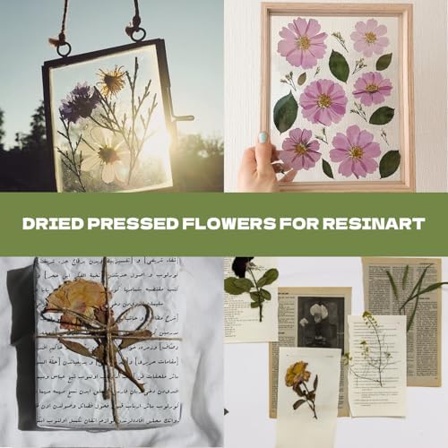 63 Pcs Pressed Leaves, 21 Styles Dried Flowers for Resin