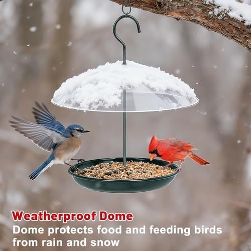 Gtongoko Platform Bird Feeder for Outdoors Hanging with 12" Dome&Metal Tray