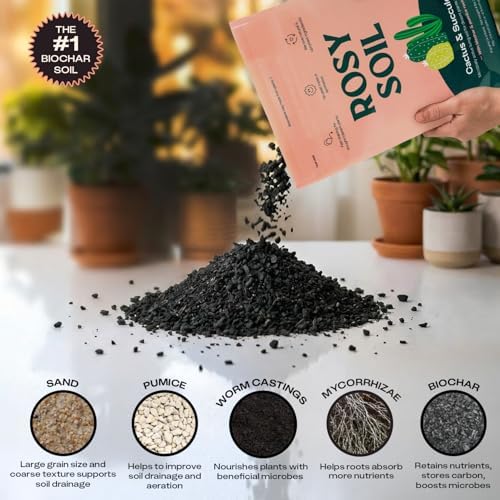Rosy Soil Cactus and Succulent Potting Soil Mix (4 qts) + Indoor Potting Soil (8 qts) - Peat Free House Plant Soil