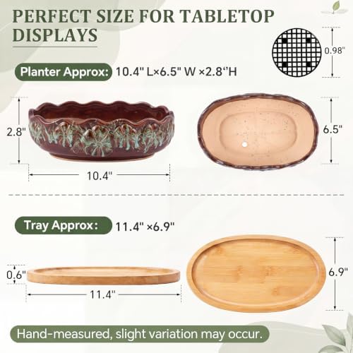 11 Inch Oval Ceramic Shallow Succulent Planter with Tray, Blue and Brown