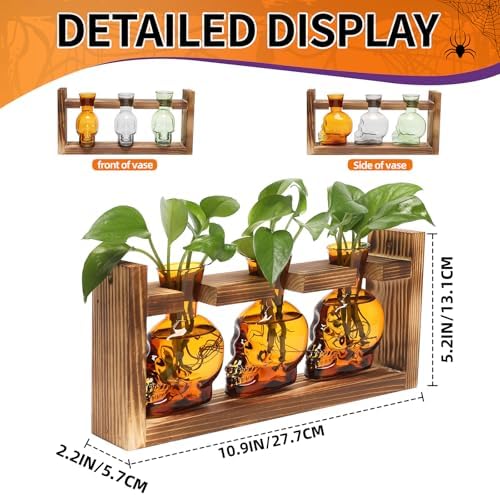 Plant Terrarium Propagation Stations Skull Planter Vase Skulls Decor