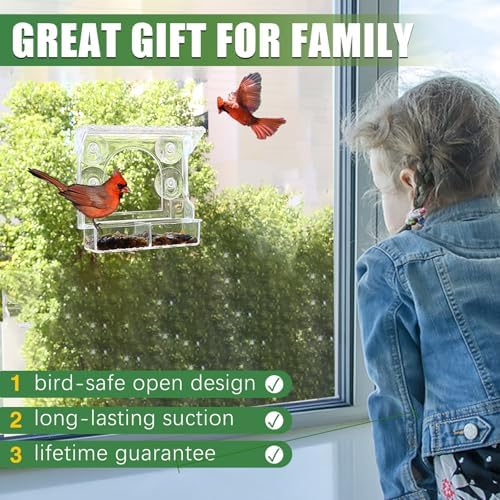 Clear Bird Feeder for Window