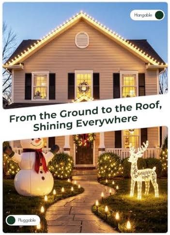 C9 Christmas Lights Outdoor, 26FT 20 LED C9 String Lights with Stakes