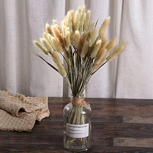 Natural Dried Bunny Tail Grass - 110~120 Stems Lagurus Ovatus for Boho Decor, Dried Pampas Grass Flower Arrangements Wedding Home Kitchen Office Decor