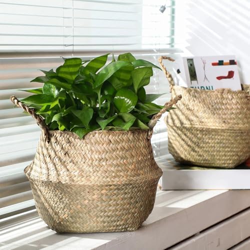 Qunclay 4 Pcs Woven Seagrass Baskets Belly Basket, M,18.46''dx8.66''h