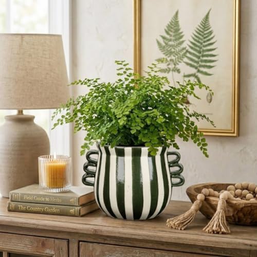Ceramic Planter Pot Modern Striped Triple Handle Flower Pot No Drainage