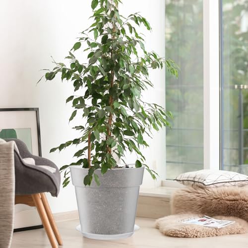 Baderke 3 Pack Clear Nursery Pot,9.25 Inches
