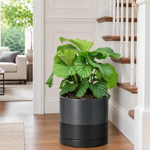 D'vine Dev 10 Inch Ceramic Planter Pot, Slate, 94-O-E-5