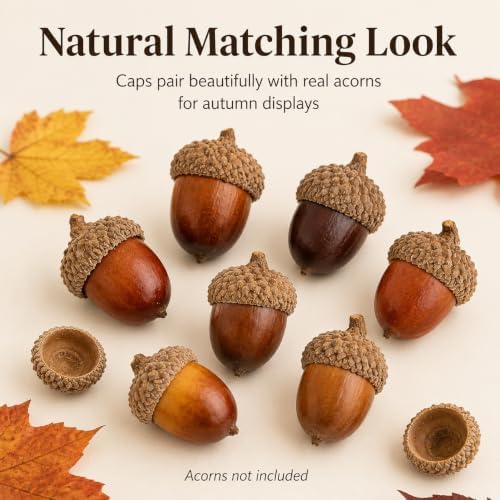 100Pcs Natural Acorn Caps for Crafts, Dried Acorn Tops Fall Decor