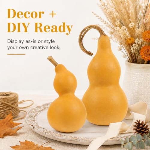 DECHOUS 2Pcs Natural Gourd Decor Chinese Wu Lou Sculpture Feng Shui Decor for Home Desktop Decoration DIY Crafts, Gourd Height About 9-14cm