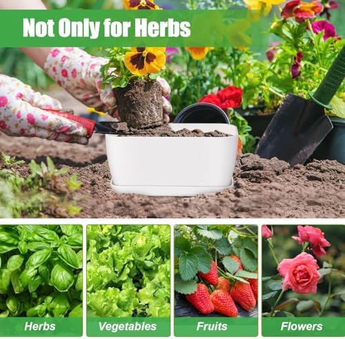 Oliz 4 Set Window Herb Planter Box Rectangular, Green Plastic Planters with Multiple Drainage Holes and Trays,Indoor Succulent Cactus Mint Flower Pot for Windowsill, Garden Balcony (White)