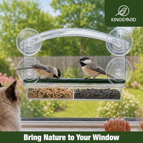 Kingsyard Window Bird Feeder with 4 Extra Strong Suction Cups