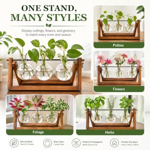 Renmxj Plant Propagation Station, Plant Terrarium with Wooden Stand