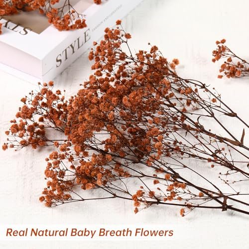 4500+ Pcs Babys Breath Dried Flower Bouquet, 17" Brown for Fall Vase Decor