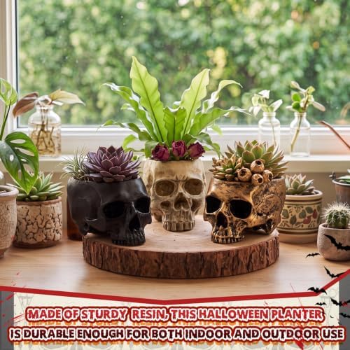 3 Pack Halloween Skull Planter, Beige Black Gold, Multiple Styles