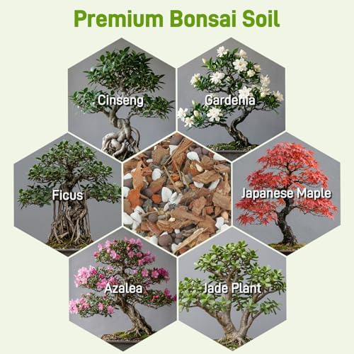 Avalution Bonsai Soil 3QT,Organic Bonsai Soil Mix