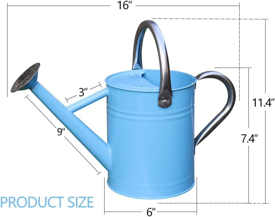Metal Watering Can, 1 Gallon for Outdoor Garden Plants, Blue | Watering Cans Stainless Steel Handhold with Removable