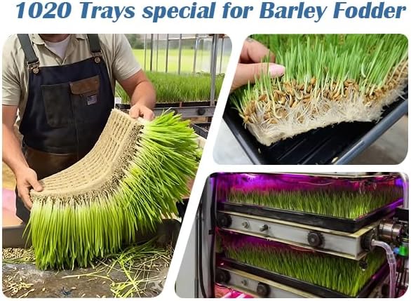 10-Pack Heavy-Duty 1020 Seed Trays No Holes, Thick Plastic Plant Flats | Reusable Growing Trays for Seed Starting
