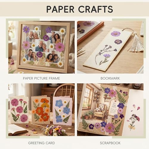 LUXEEASE 100P Purple Dried Pressed Flowers
