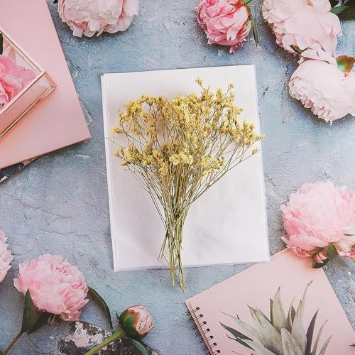Marspark 50 Pieces Flower Press Paper A5 Blotter Sheets, 8 x 6 Inch