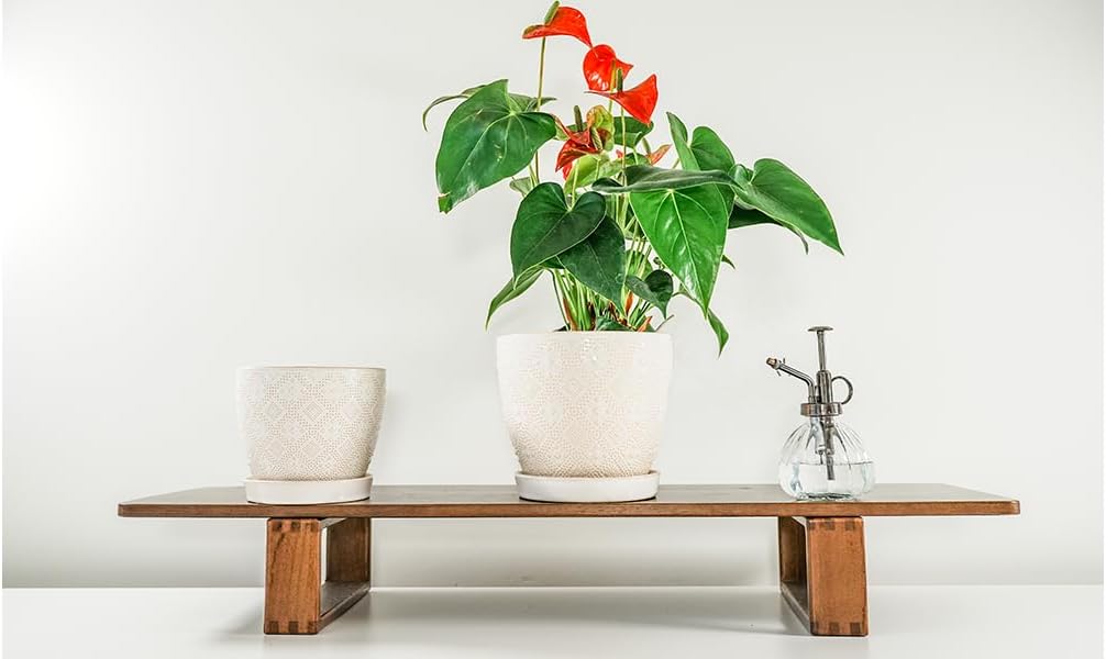 Docrin Ceramic Plant Pots Indoor, 6.6 + 5.5 Inch Planters with Drainage Holes and Saucer for Home/Office - Set of 2