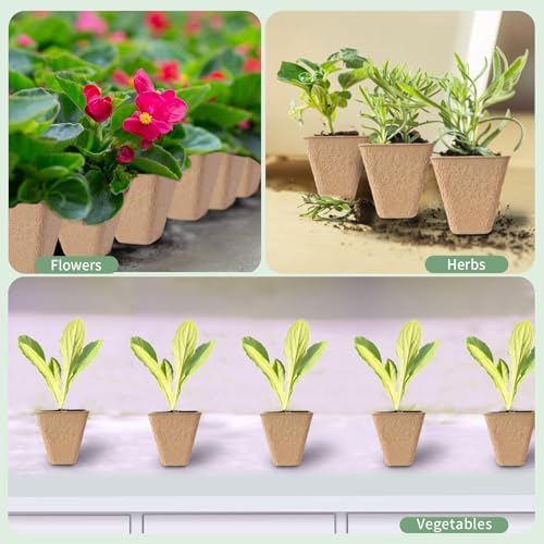 80-Pack 3.15" Square Biodegradable Seed Starter Pots