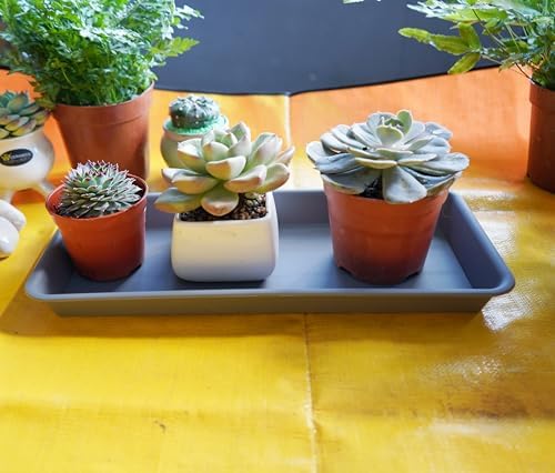VUWEZ 6 Pack Rectangular Plastic Plant Tray Saucer, Gray, 6 x 11 Inch, Indoor/Outdoor, Durable & Water Resistant