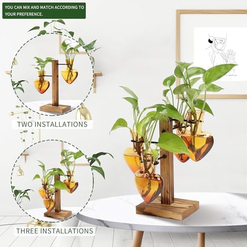 Plant Terrarium Propagation Stations with Wooden Stand
