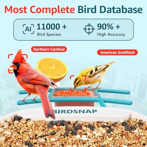 birdsnap® TUC Bird Feeder with Camera Solar Powered 2K Video with 32GB Card