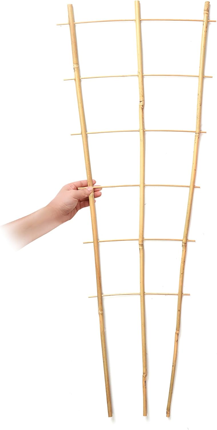SWANGSA 6 Pack 3Ft Bamboo Trellis for Climbing Plants,35.5 Inch Fan-Shaped Bamboo Plant Trellis with 100pcs Twist Ties
