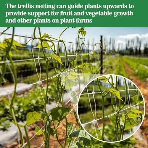 Sukh Trellis Netting for Climbing Plants - 5 x 15 ft Garden Net, 4 Pack