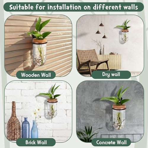 Baderke 6 Set Wall Plant Holder with Plastic Propagation Vases Hanging Planter Wall Mounted Set for Plants Growing in Water Hydroponic Artificial Plants Indoor Decor (2.48" X 4.72",Test Tube)